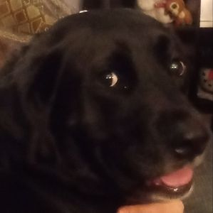 Meet your Posher, Blanche